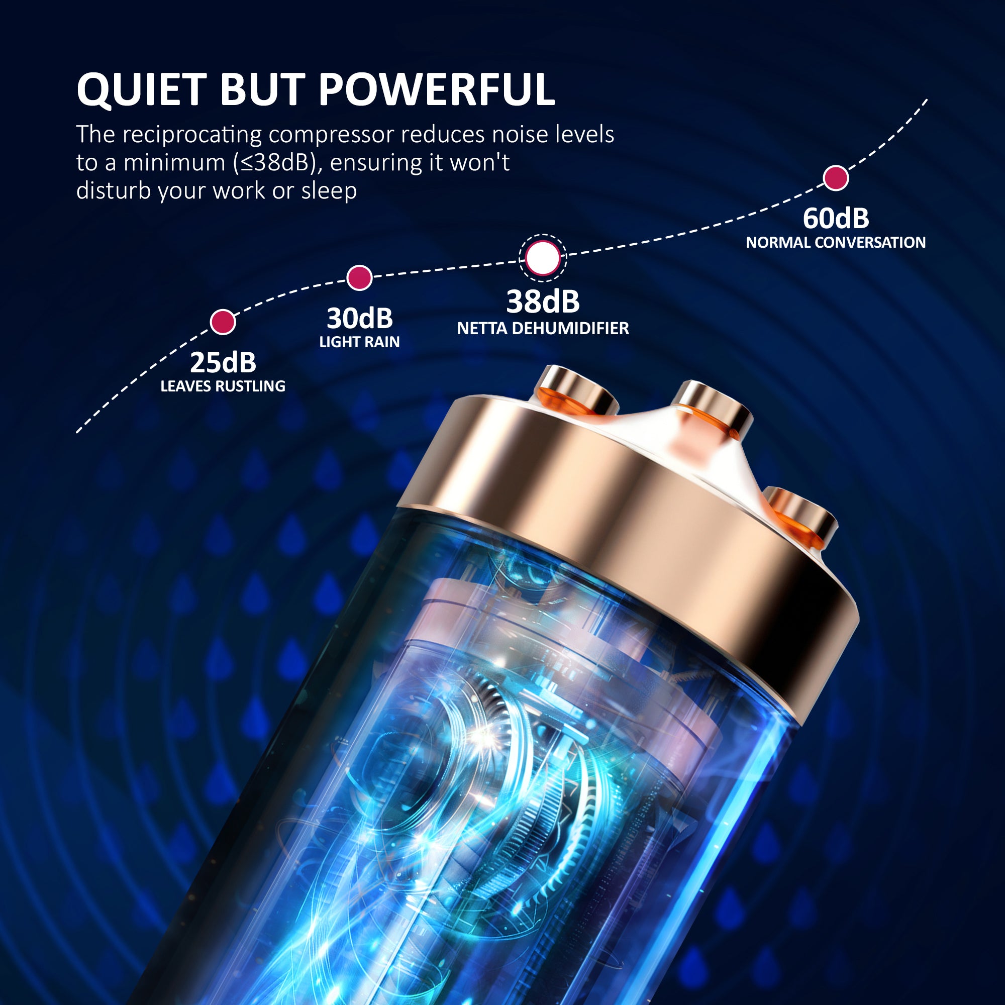 NETTA 12L Low Energy Dehumidifier - Digital Control Panel, Air Filter, Auto Restart 200W