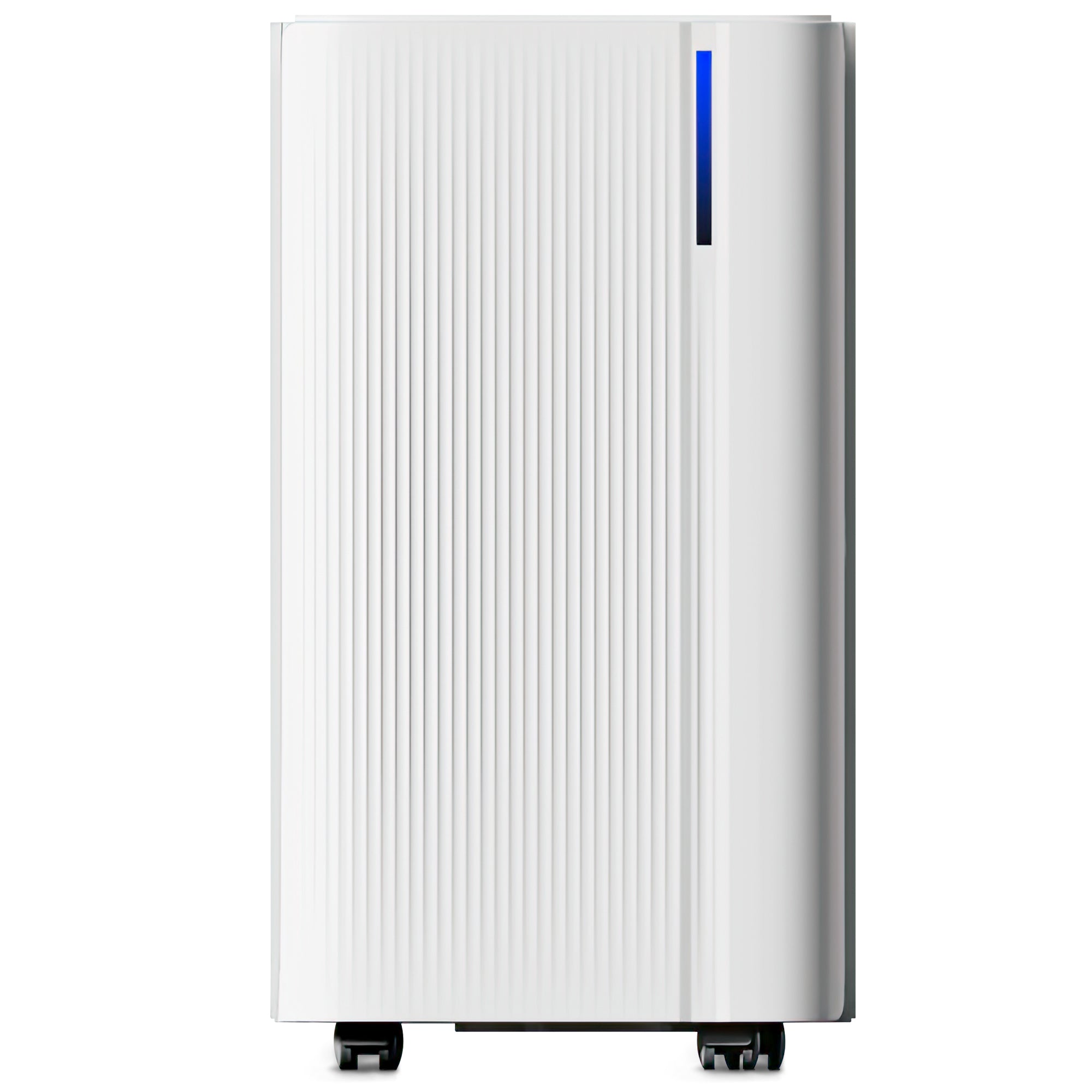 NETTA Quiet Dehumidifier, Poweful Mould Remover & Laundry Drying with 24-Hour Timer and Sleep Mode for Damp, Mould and Condensation