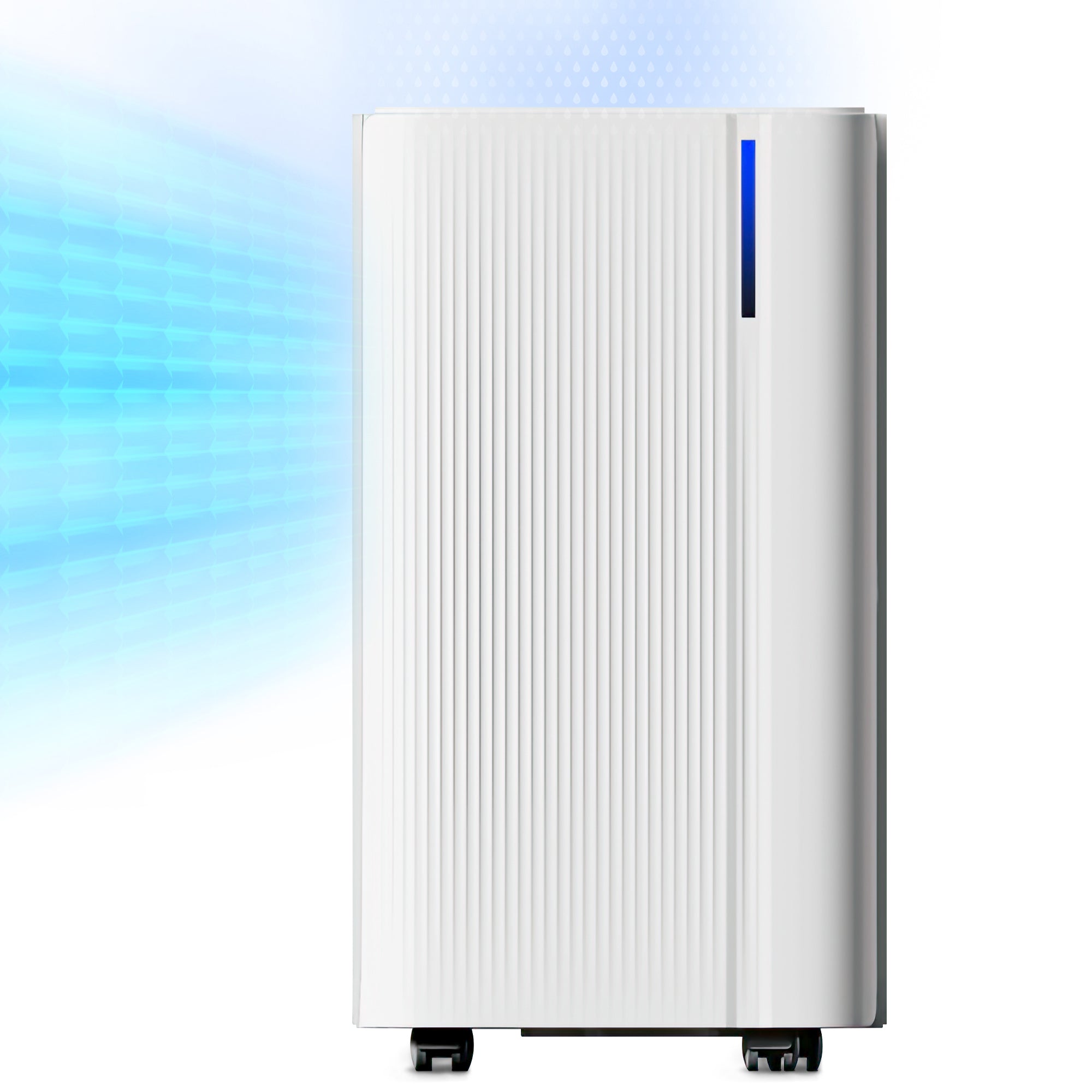 NETTA Quiet Dehumidifier, Poweful Mould Remover & Laundry Drying with 24-Hour Timer and Sleep Mode for Damp, Mould and Condensation