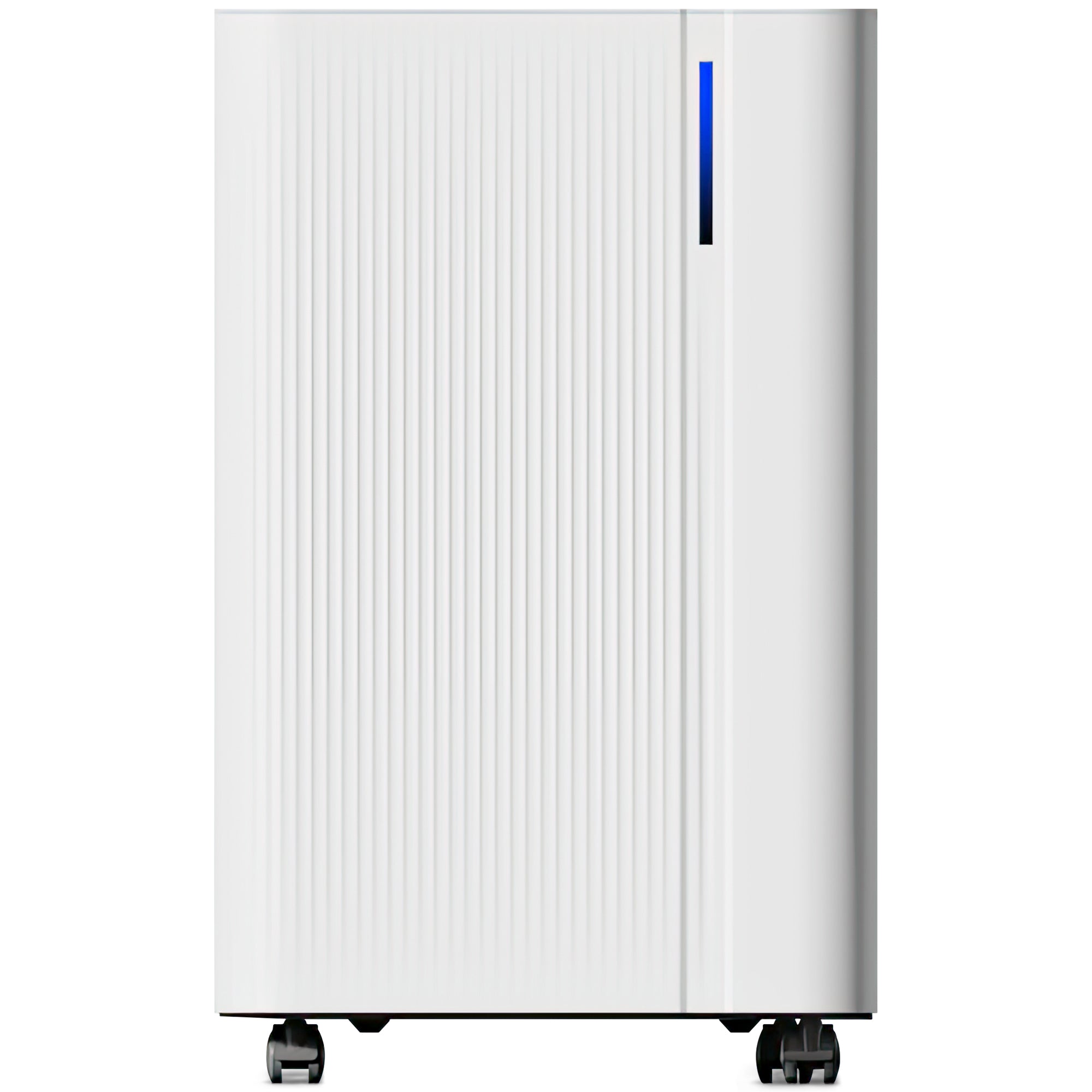 NETTA Quiet Dehumidifier, Poweful Mould Remover & Laundry Drying with 24-Hour Timer and Sleep Mode for Damp, Mould and Condensation