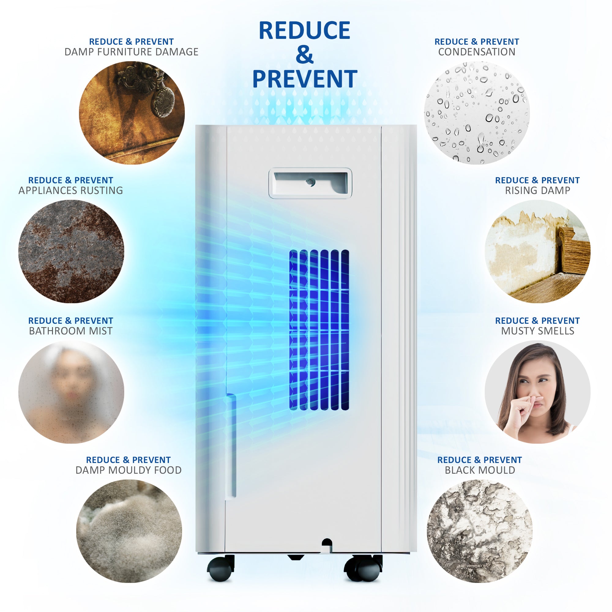 NETTA Quiet Dehumidifier, Poweful Mould Remover & Laundry Drying with 24-Hour Timer and Sleep Mode for Damp, Mould and Condensation