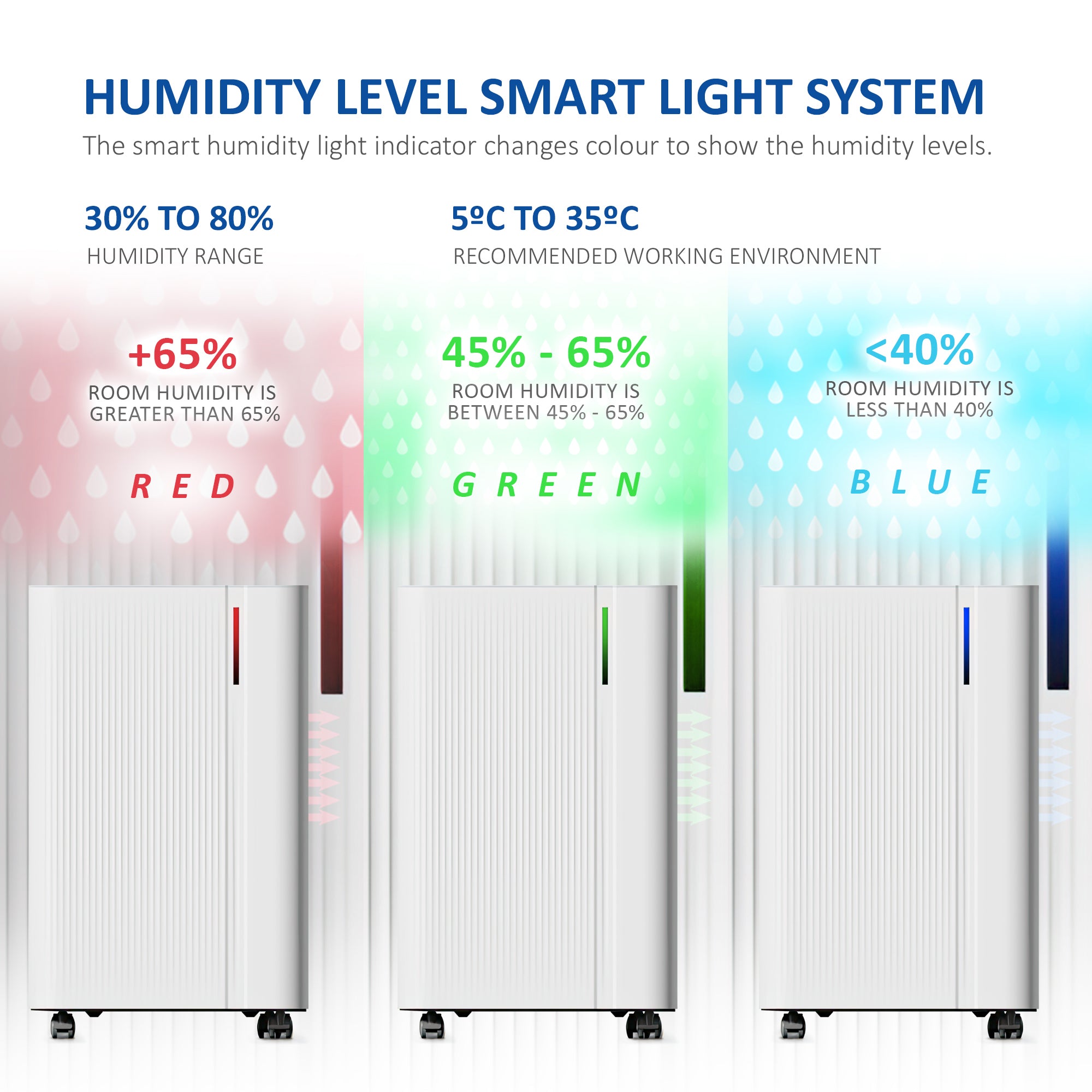 NETTA Quiet Dehumidifier, Poweful Mould Remover & Laundry Drying with 24-Hour Timer and Sleep Mode for Damp, Mould and Condensation