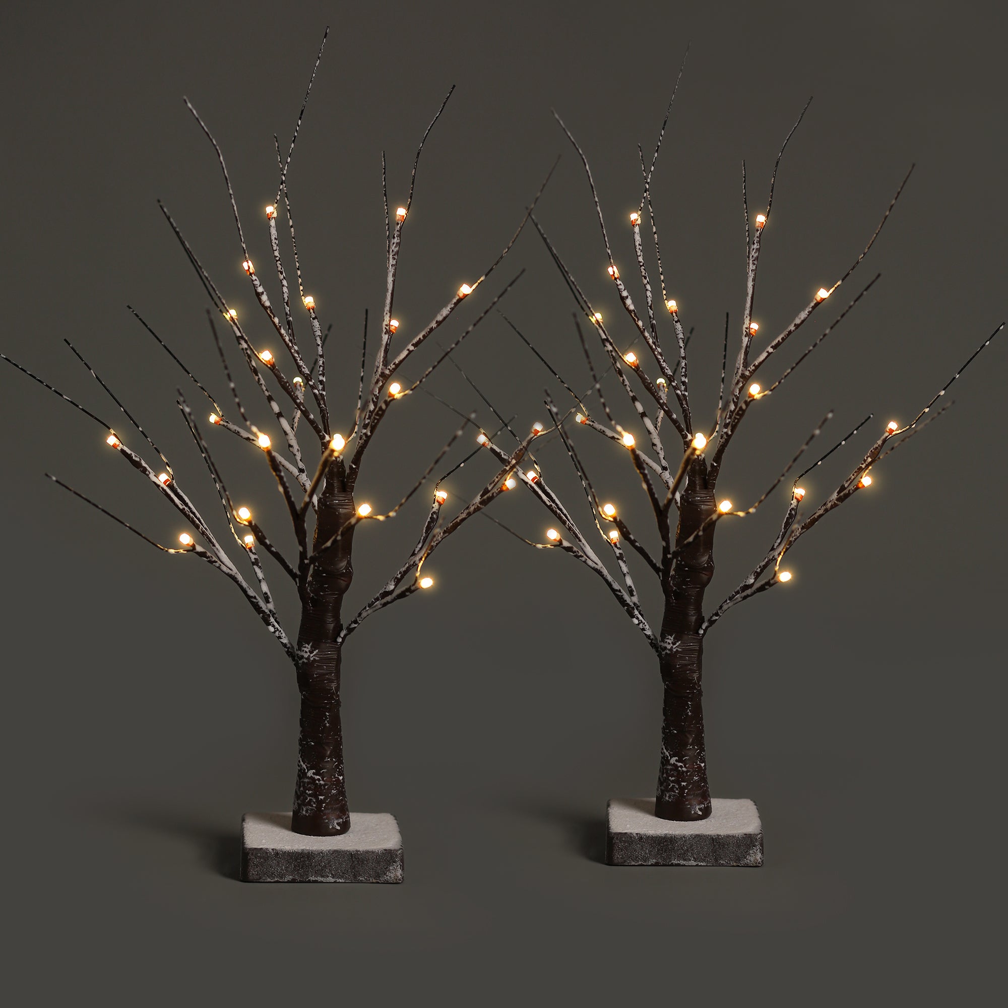 NETTA 2FT Birch Twig Tree - Pre-Lit with 24 Warm White LEDs