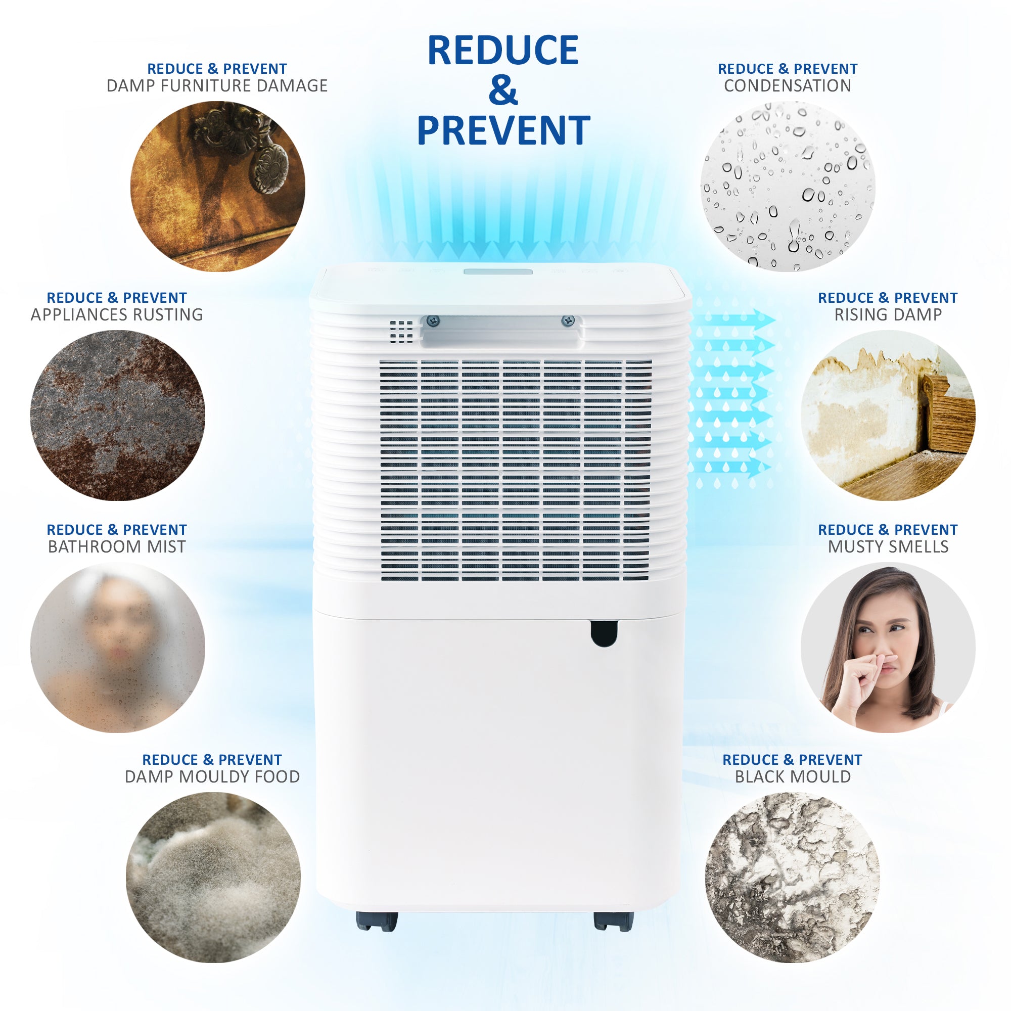 NETTA 12L Low Energy Dehumidifier - Digital Control Panel, Air Filter,  Auto Restart 200W