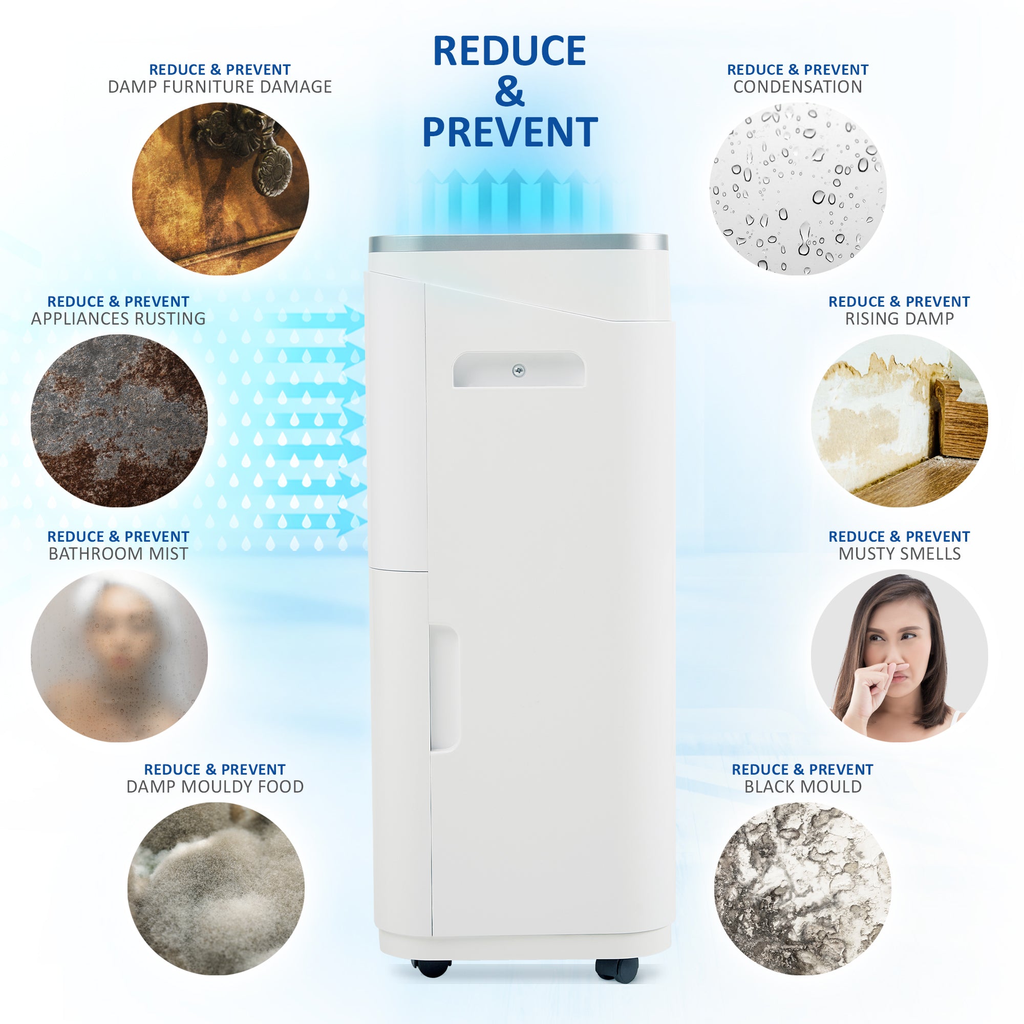 NETTA 20L Low Energy Dehumidifier Continuous Drainage Timer - Ideal for Damp, Condensation and Laundry Drying