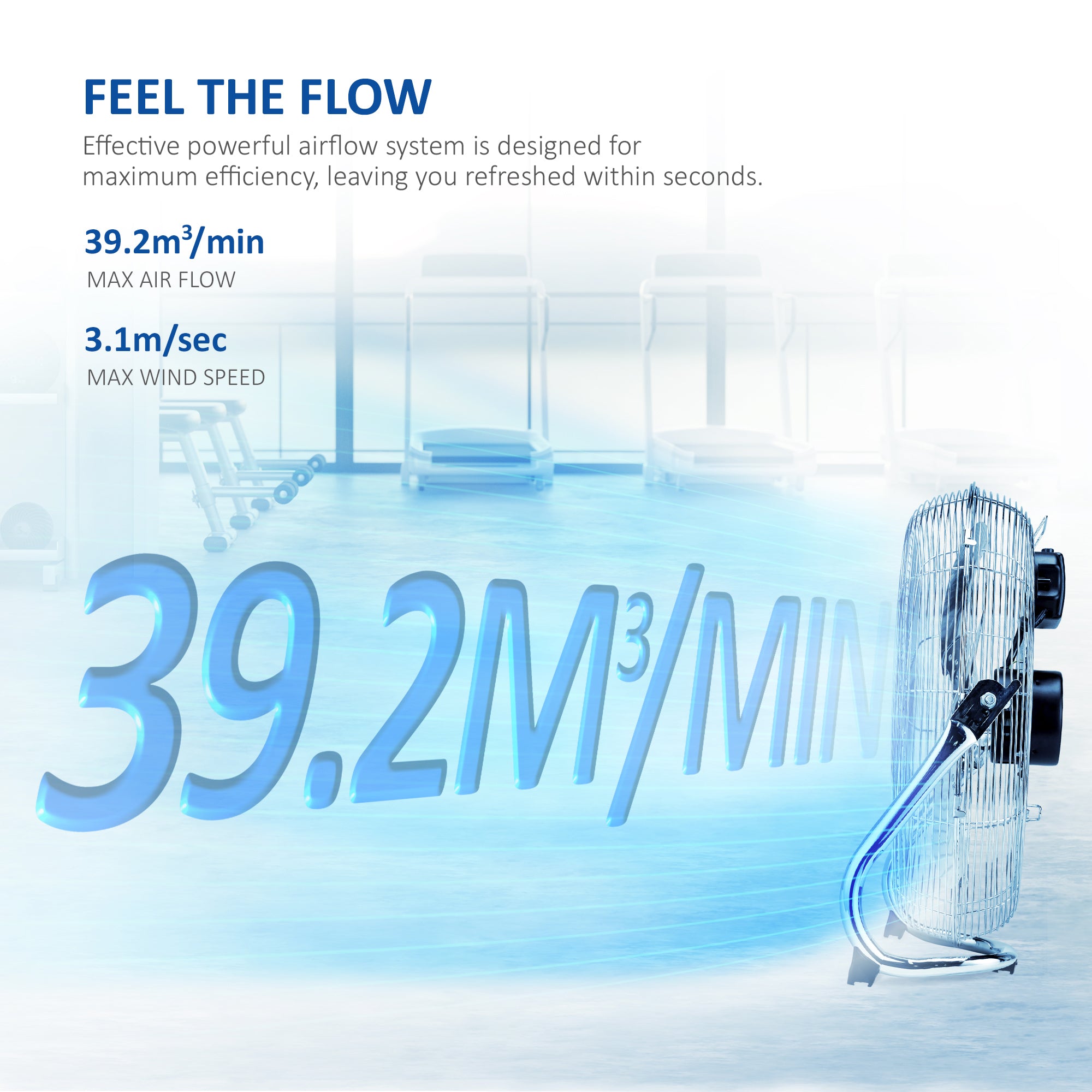 NETTA Gym Floor Fan 3 Speed Settings and Tilt Option, Powerful Circulation, Wall Mountable Chrome