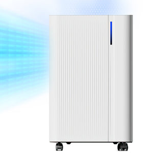 NETTA Quiet Dehumidifier, Poweful Mould Remover & Laundry Drying with 24-Hour Timer and Sleep Mode for Damp, Mould and Condensation