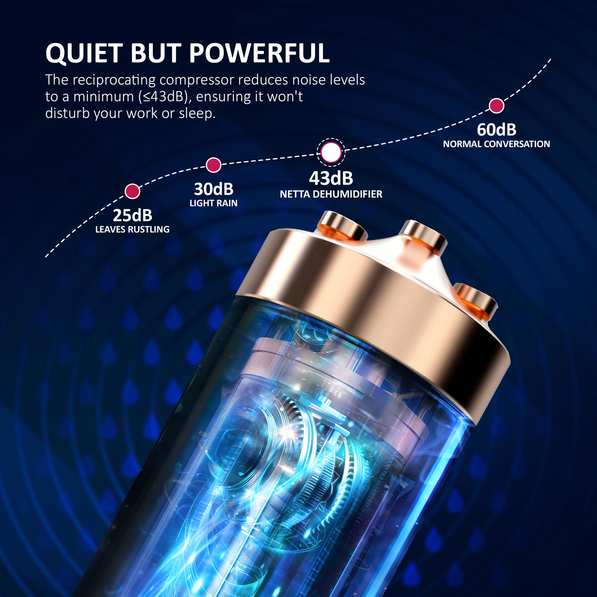 NETTA Quiet Dehumidifier, Poweful Mould Remover & Laundry Drying with 24-Hour Timer and Sleep Mode for Damp, Mould and Condensation